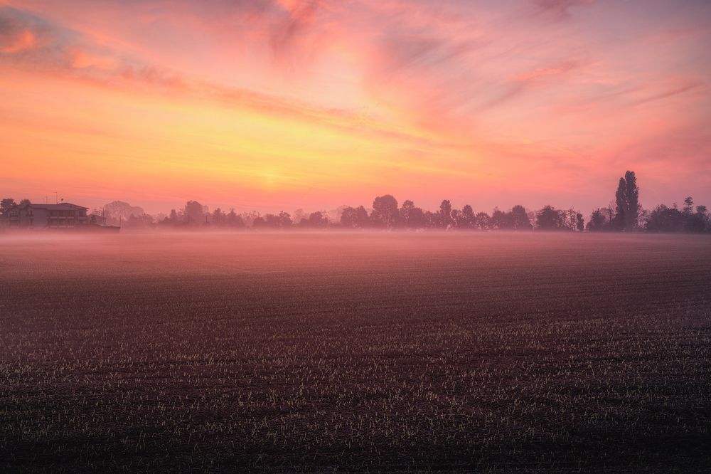 Sunrise and Fog