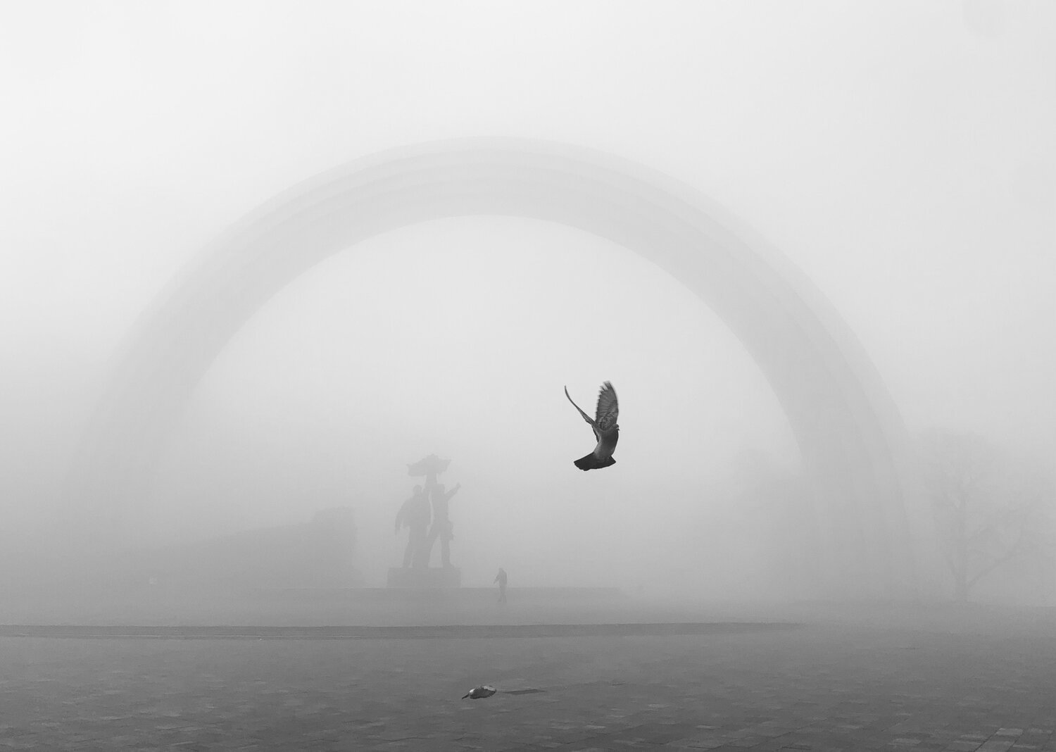 Фотография #6798200