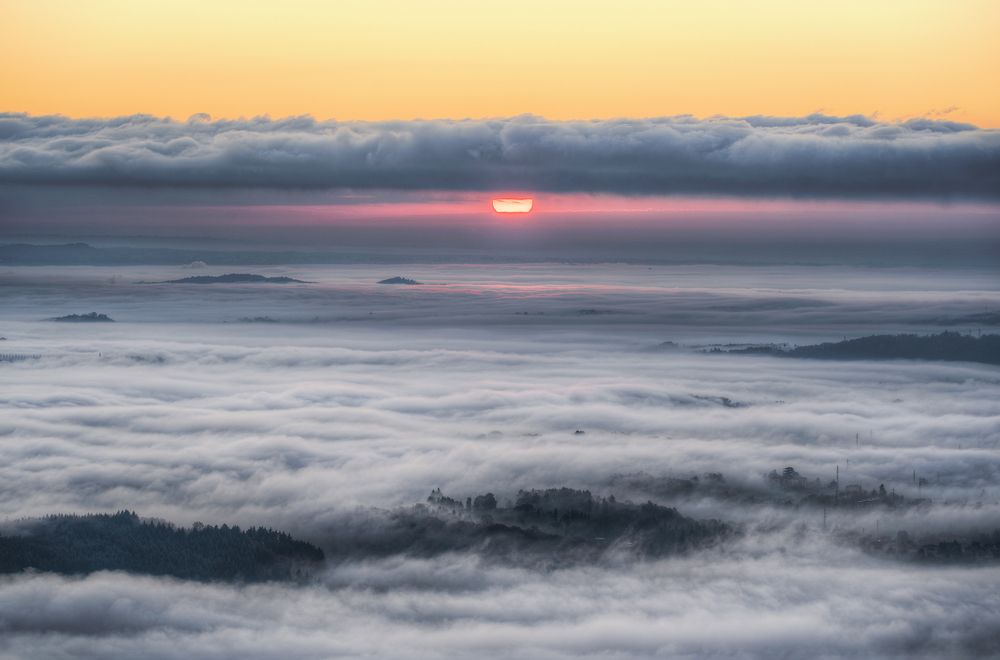 Sunrise and Fog on the city
