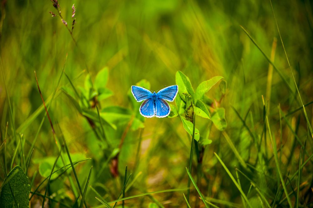 Photograph by Виталий Слёзка