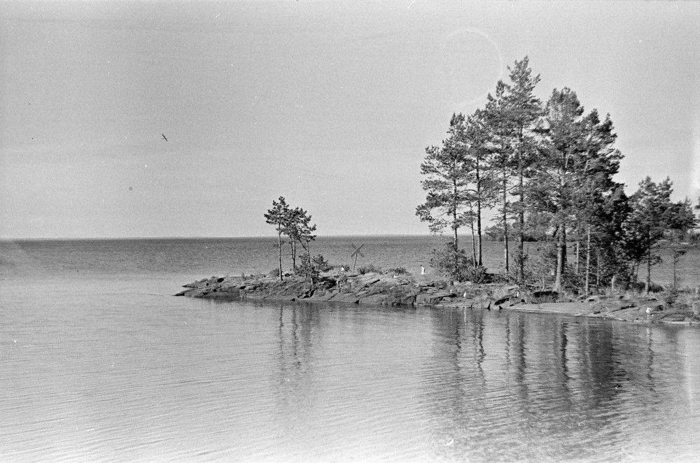 Photograph by Ольга Шевцова