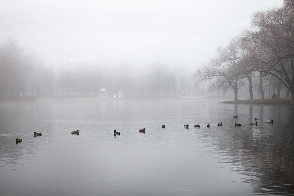 Photograph by Боботов Роман