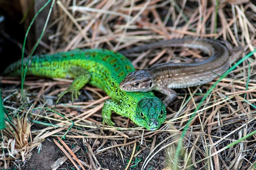 Photograph by Виталий Слёзка