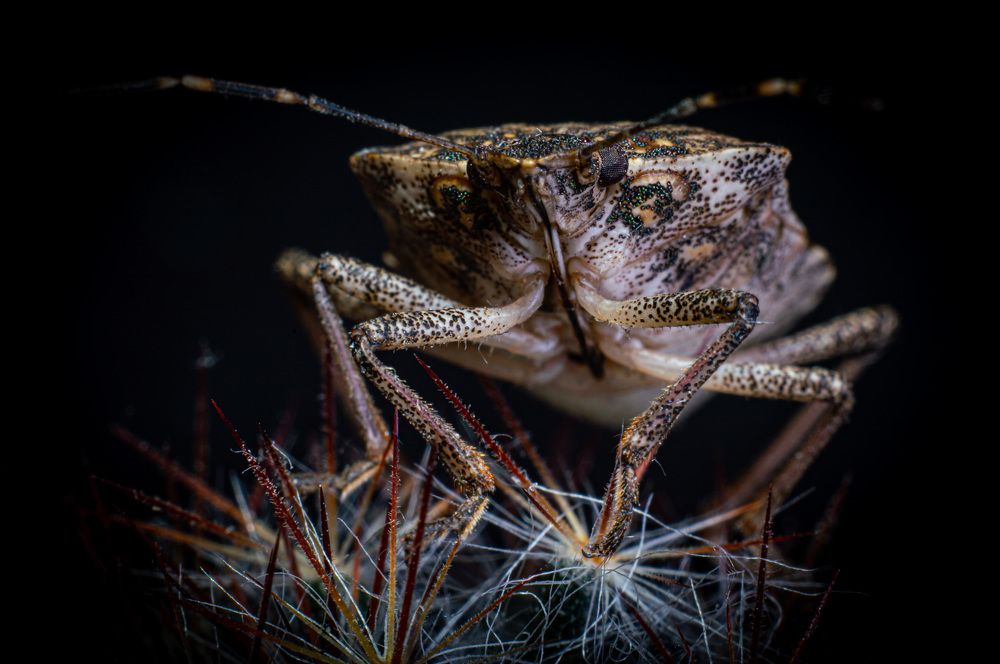 Photograph by Вячеслав Смеликов