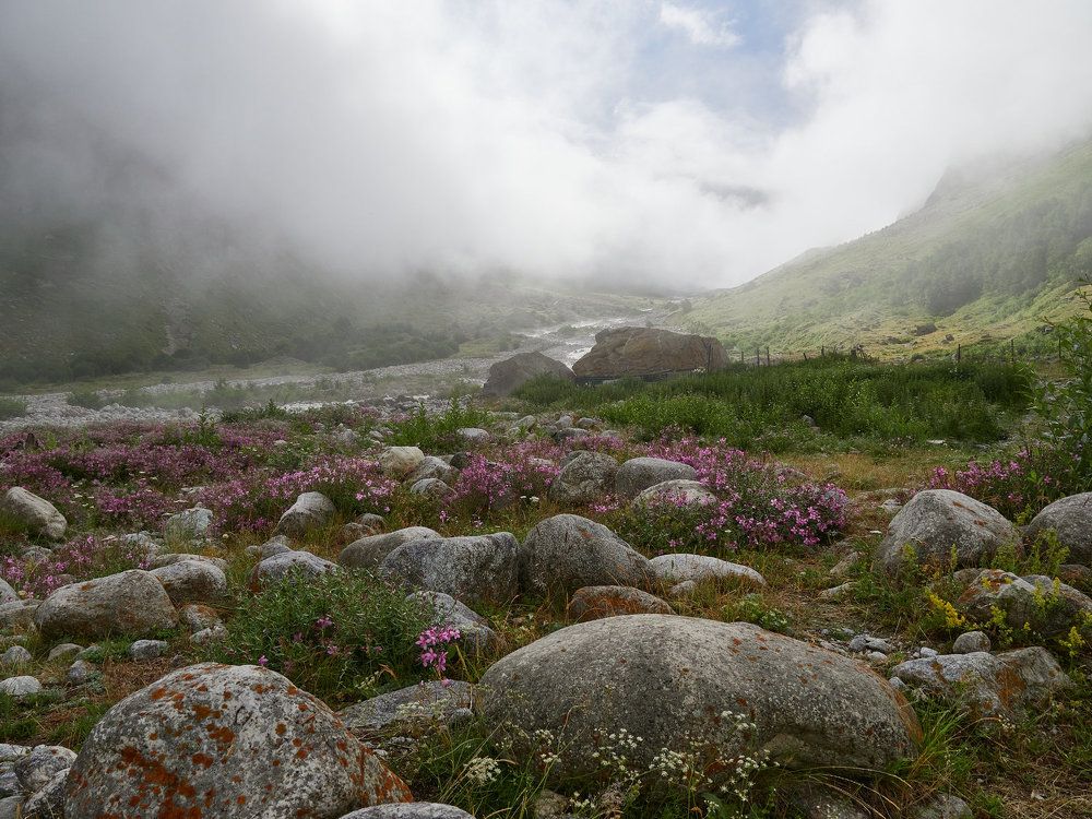 Photograph by Ирина