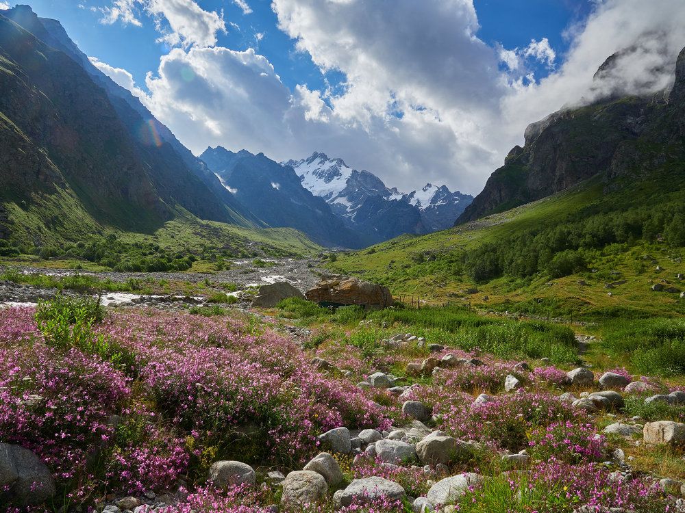 Photograph by Ирина