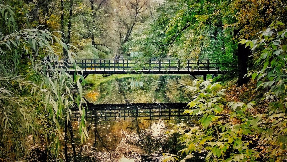 Photograph by Ольга Хромова