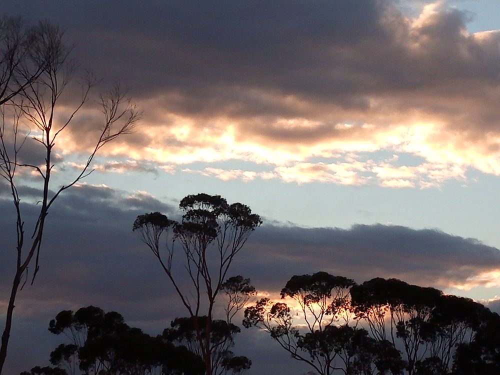 Photo #6798321