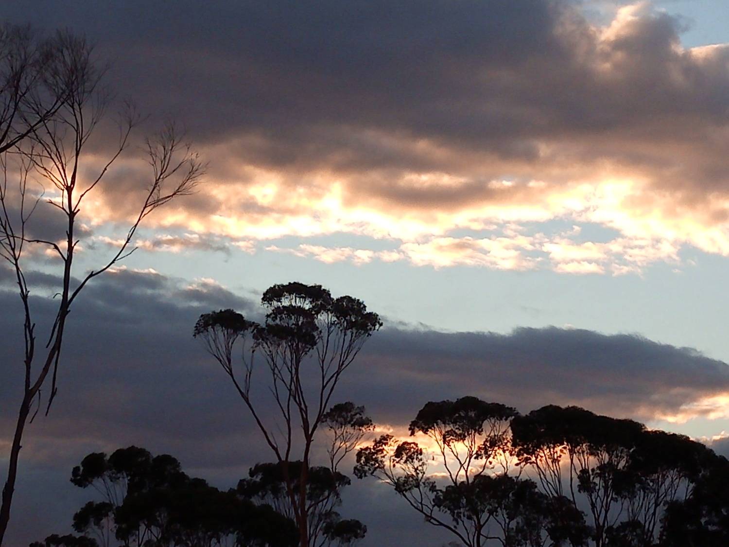 Photo #6798321