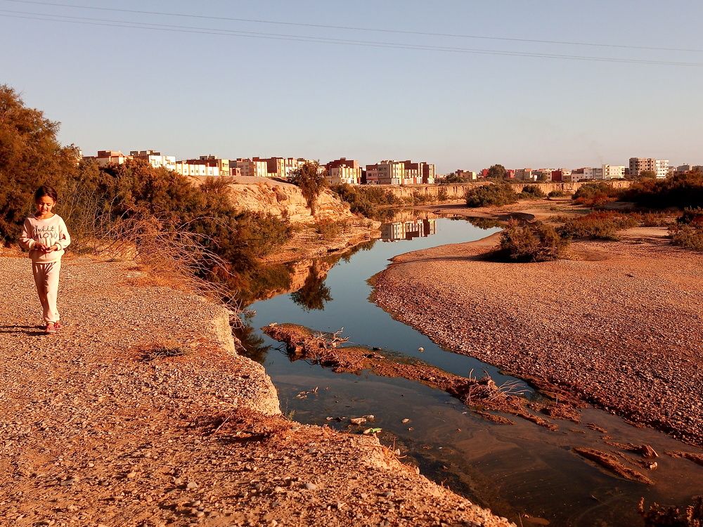 Photo #6798324