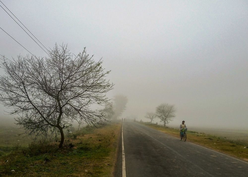 Photograph by Kamal Bhattacharjya