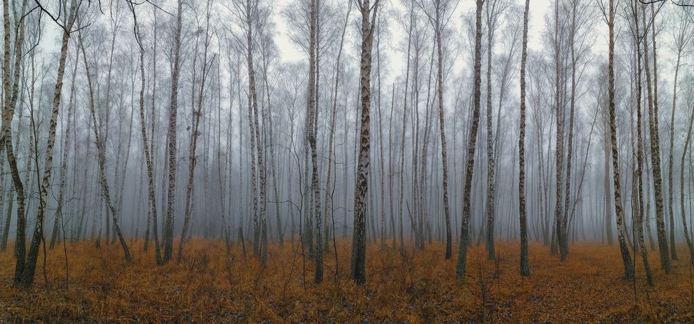 Photograph by Анна Пикаленко