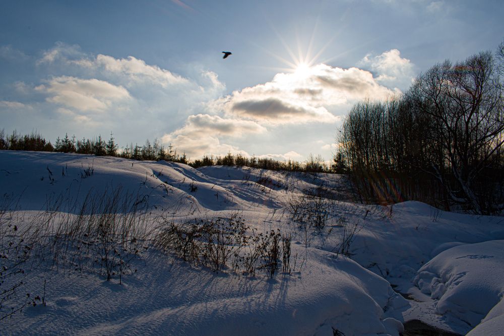 Photograph by Александр Бураков