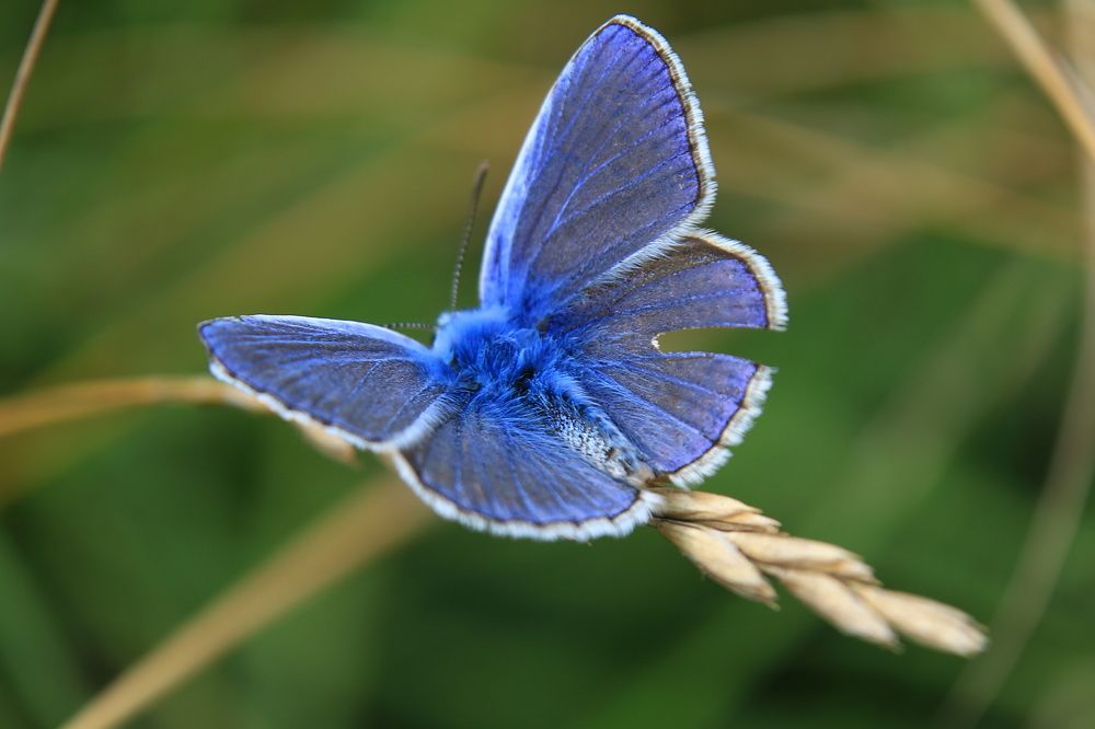 Фотография автора Сергей Кульков