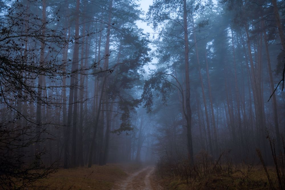 Photograph by Анна Пикаленко