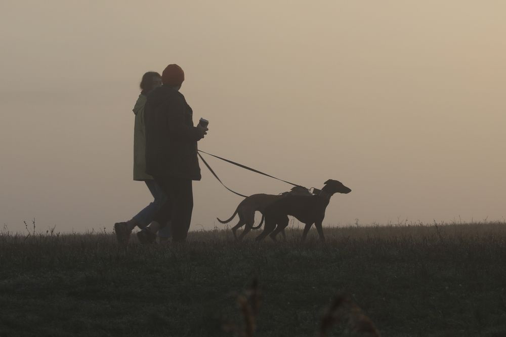 Photograph by Ольга Галецкая