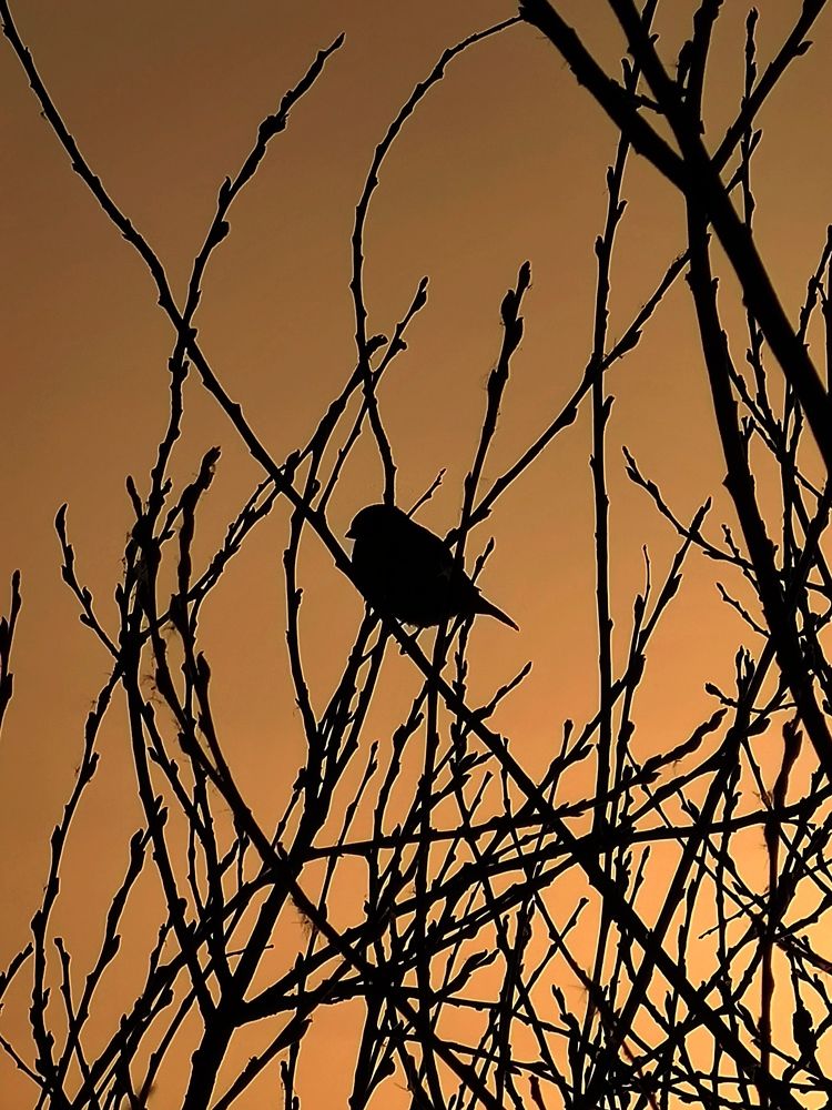 Photograph by Инна Макарчук