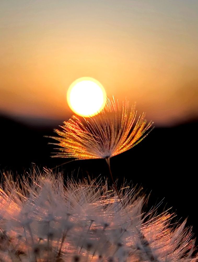 Photograph by Инна Макарчук