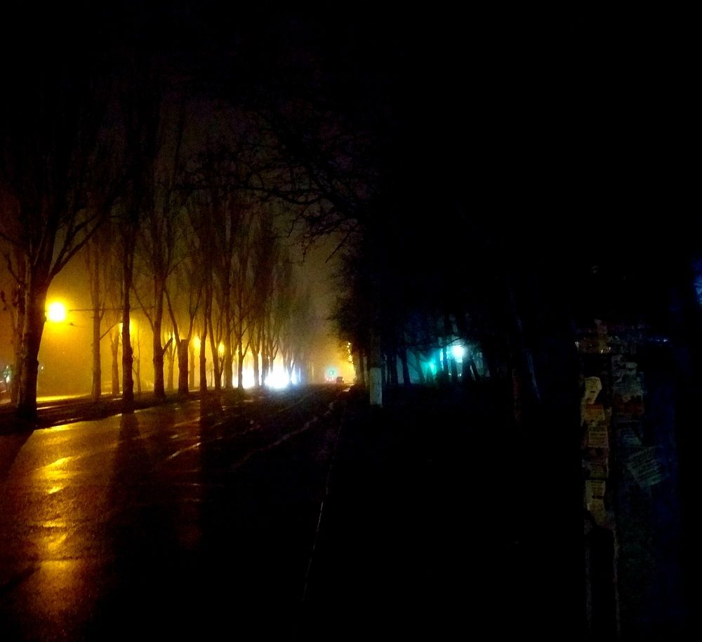 Photo #6798595