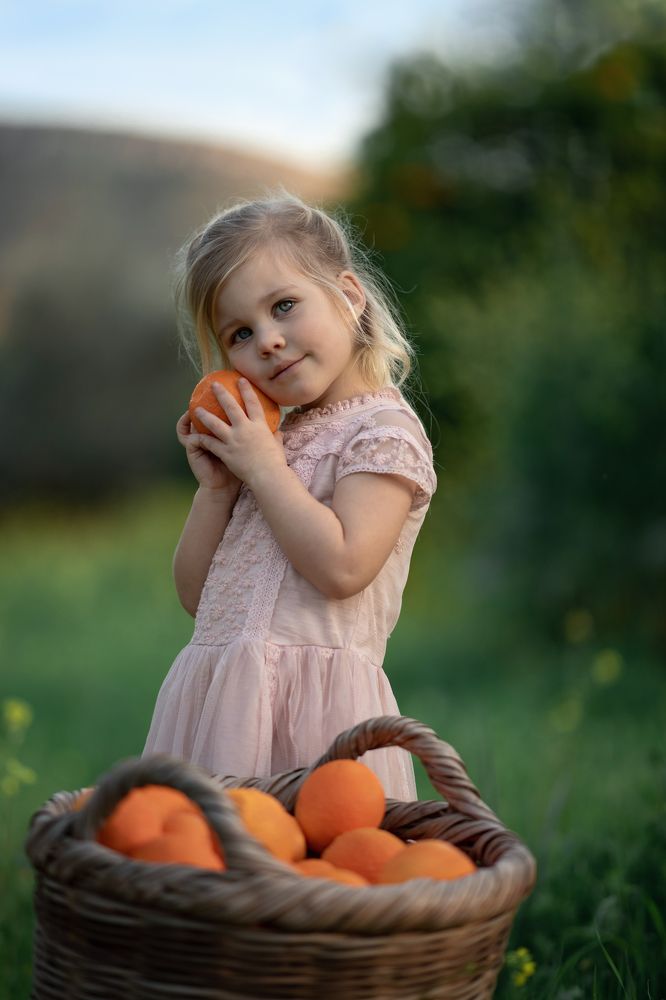 День в апельсиновой роще