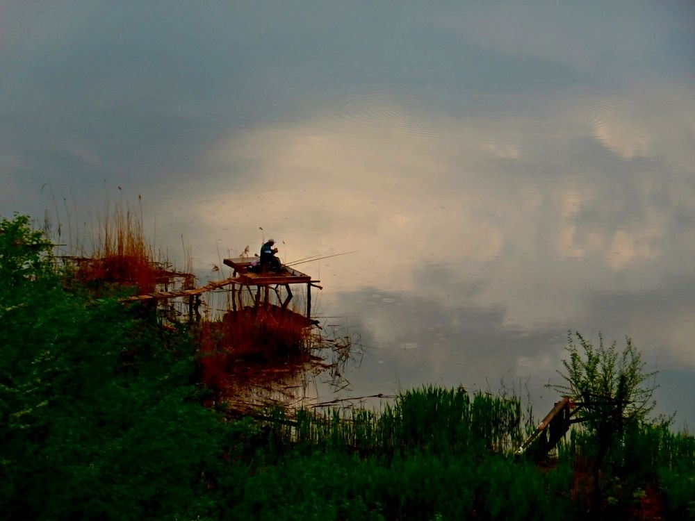 Photograph by ,Бурова Лариса