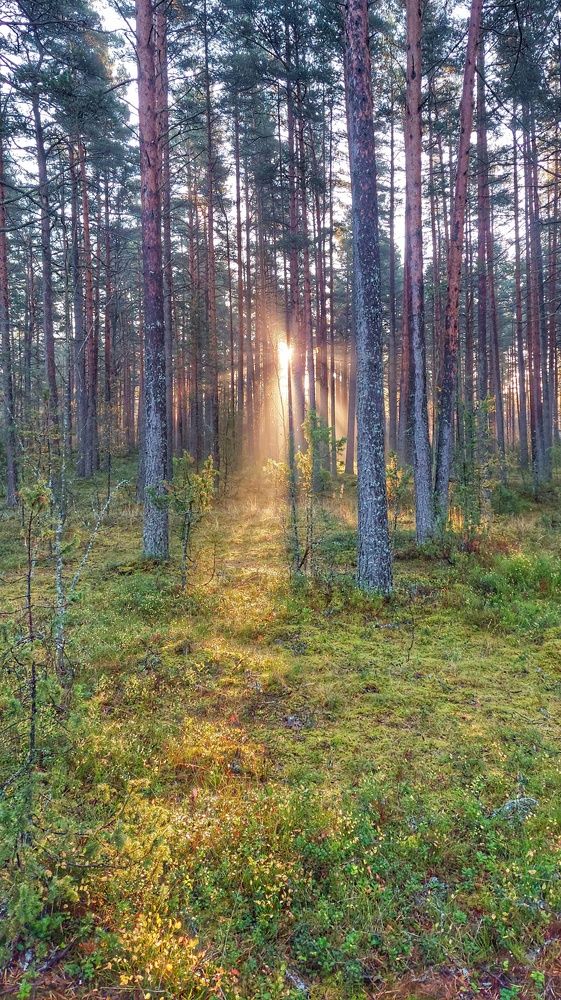 Photograph by Андрей Нурулин