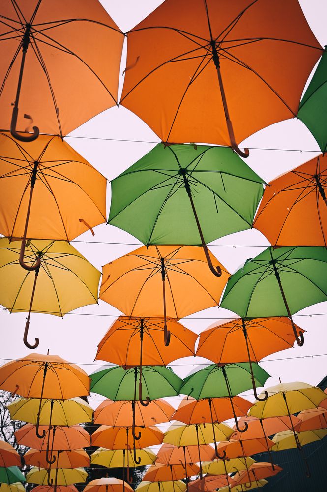 Photograph by Ольга Кудина