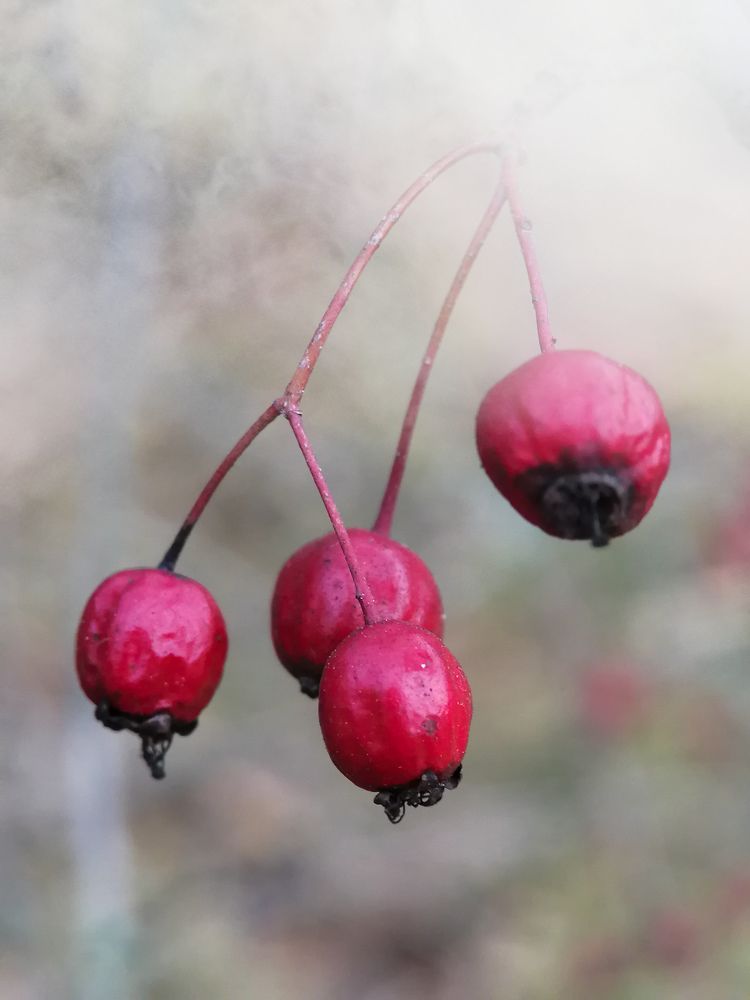 Photograph by Гонтарь Александра