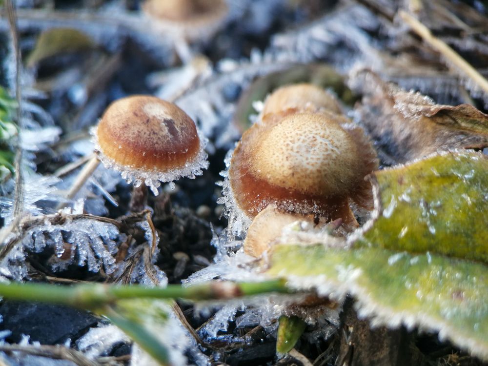 Photograph by Гонтарь Александра