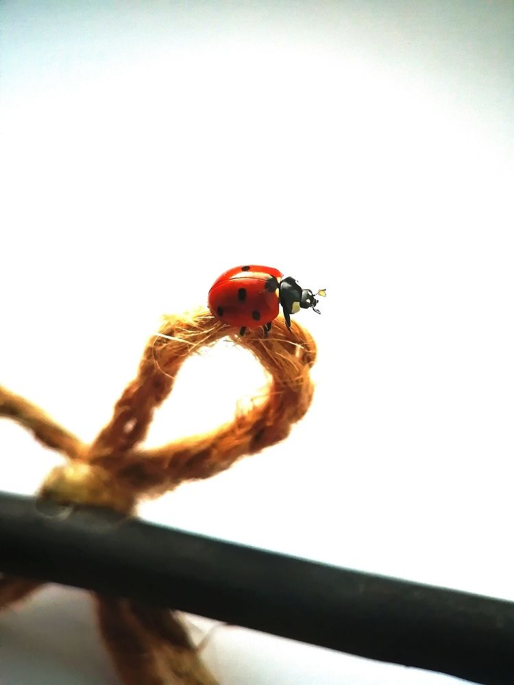 Photograph by Гонтарь Александра