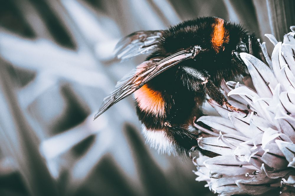 Photograph by Дмитрий Фадеев