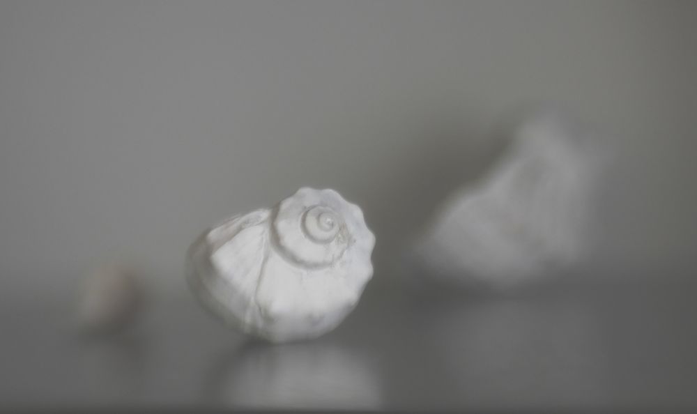 Призрачный мир