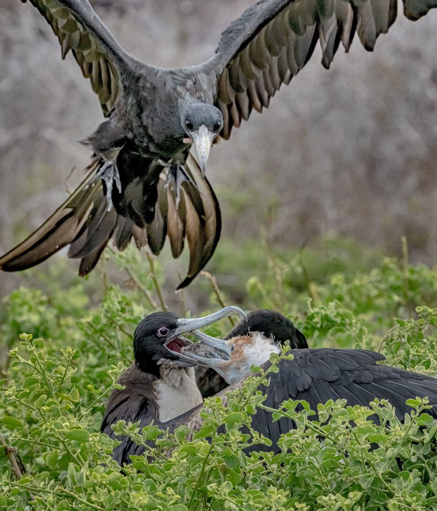 Фотография автора andrey gagarin
