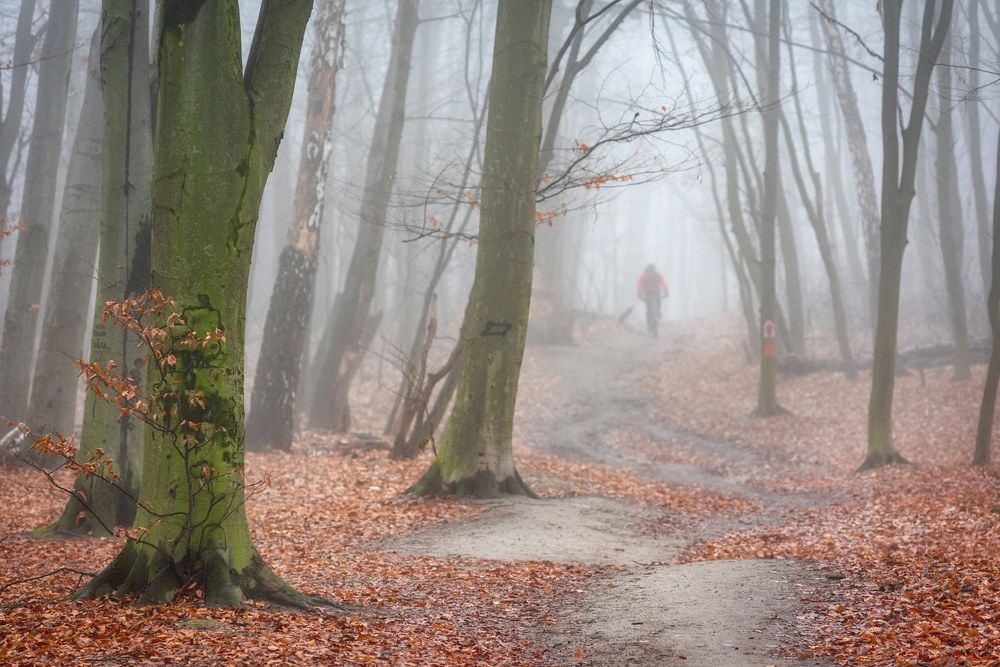 Фотография автора Юрий Юрьев