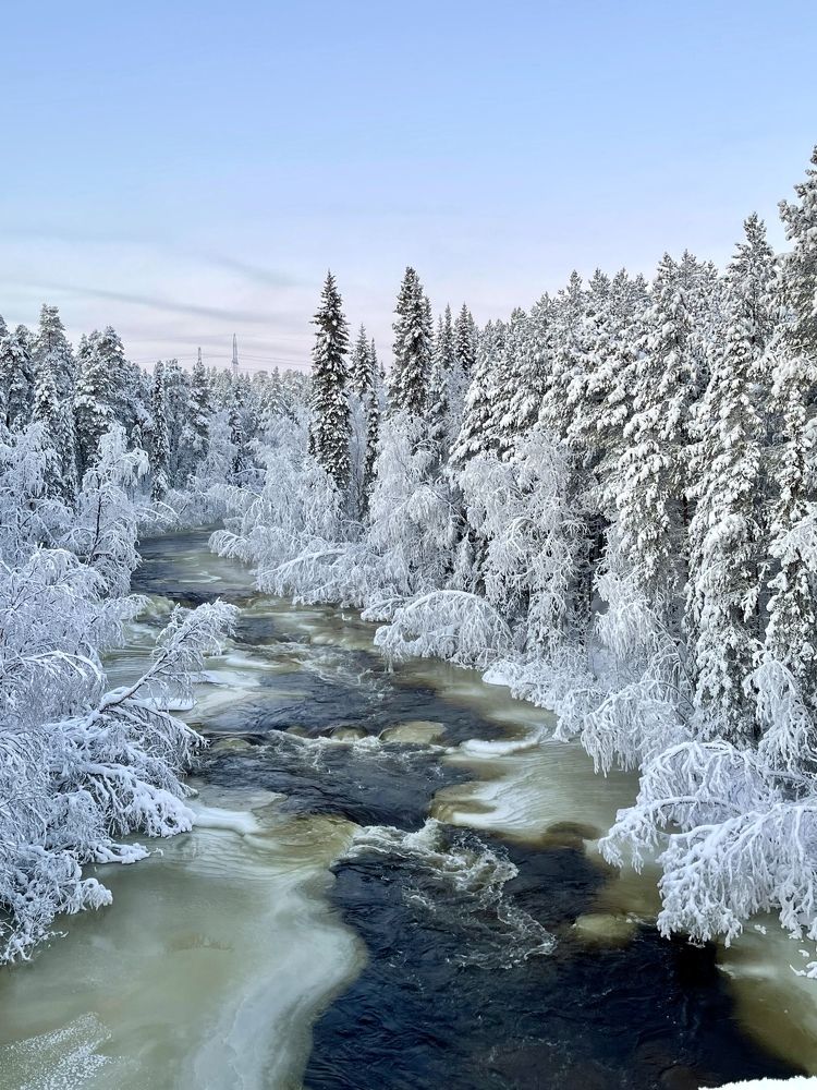 Фотография автора Юлия Шумейко