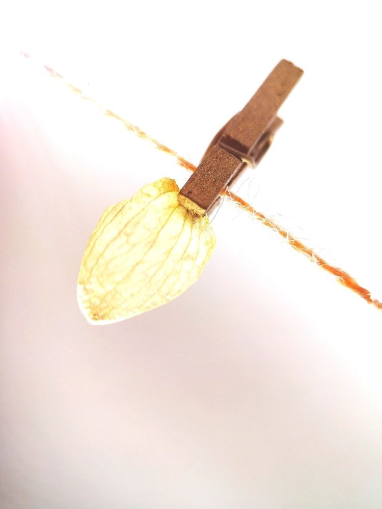 Осенние мотивы