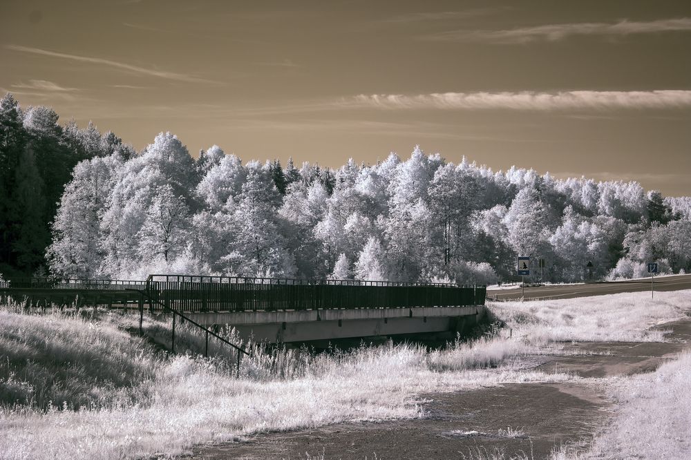 Photograph by Александр Рындин