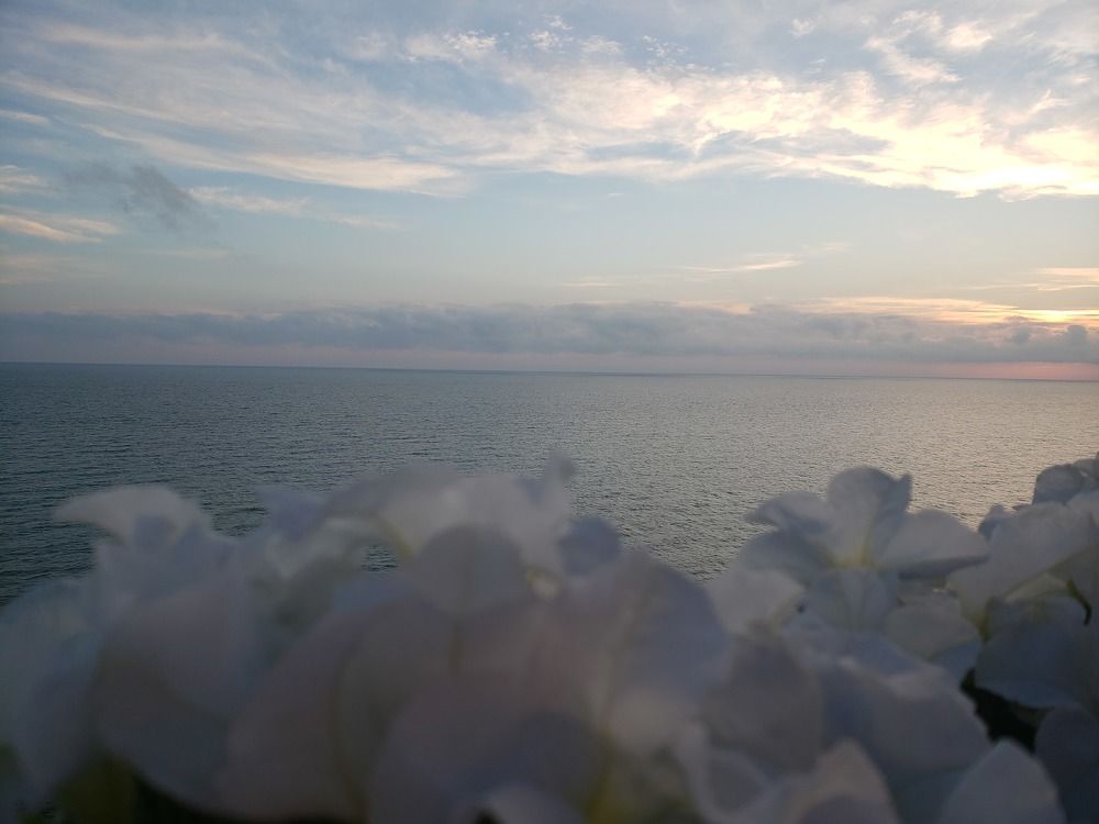 Photo #6799081