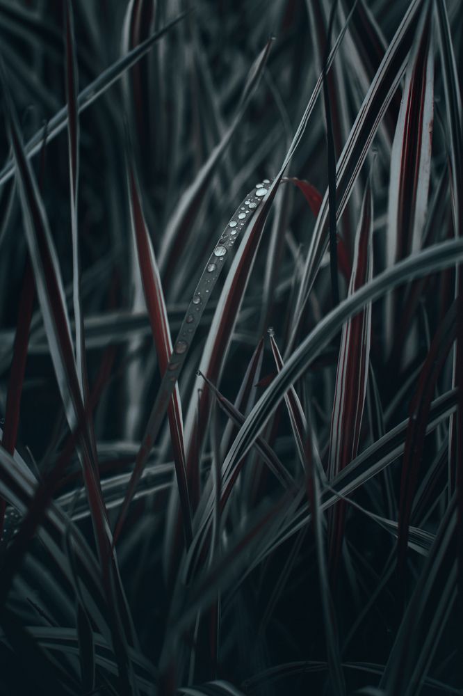 Фотография автора Олег Голубев