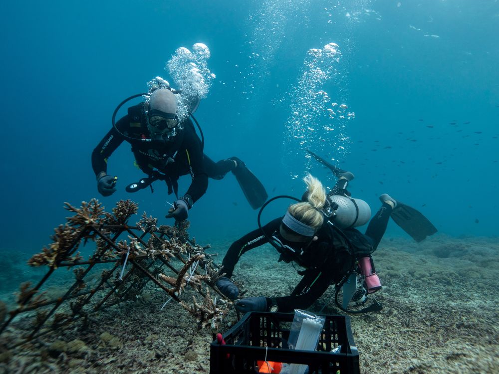 Фотография автора Мария