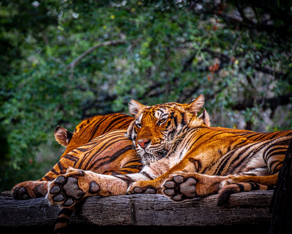 Photograph by Dem Kerrigan