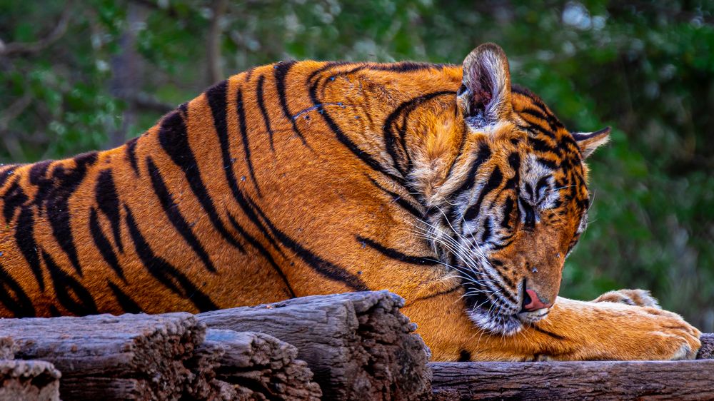 Photograph by Dem Kerrigan