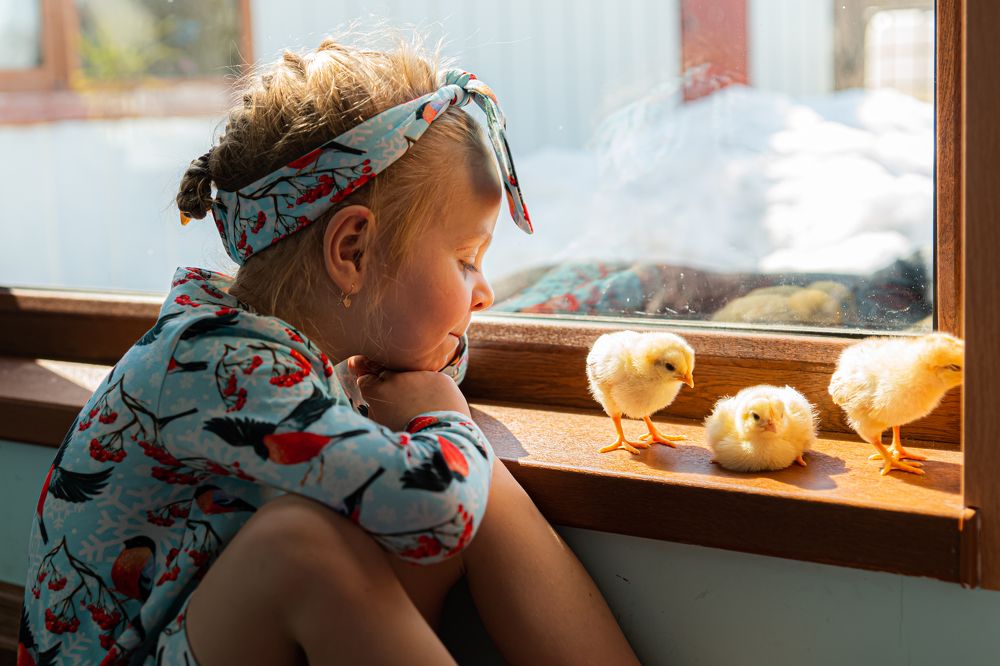 Фотография автора Анна Моргачёва