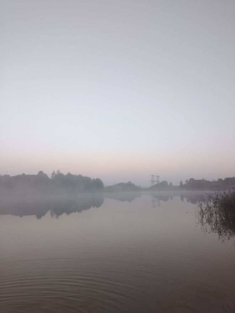 Photograph by Елена Ипполитова