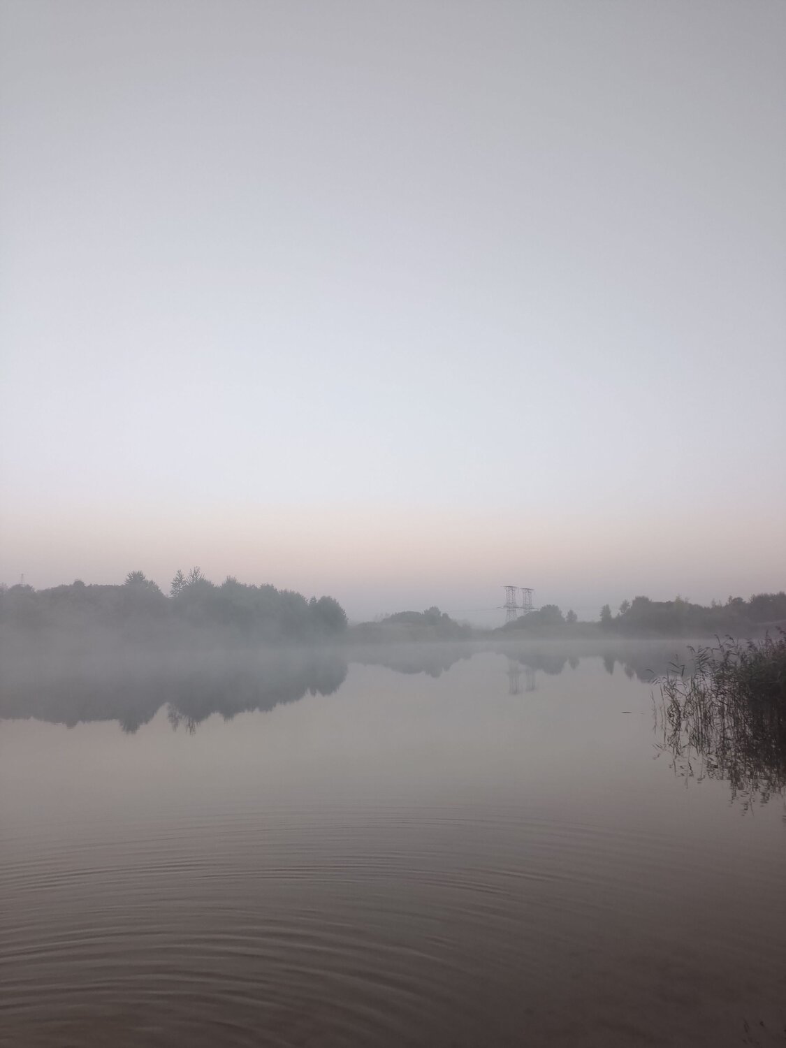 Photo #6799388