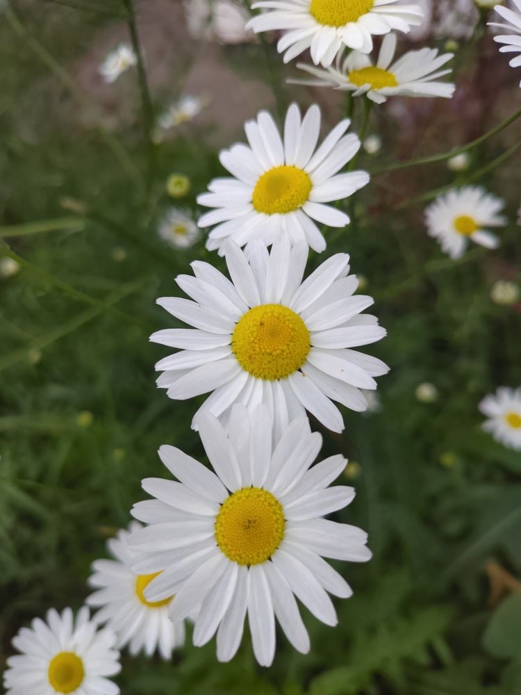 Photograph by Елена Ипполитова