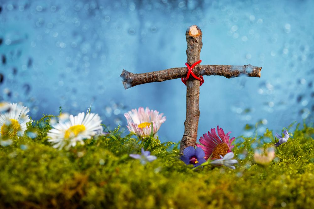 Photograph by Petro Hartman