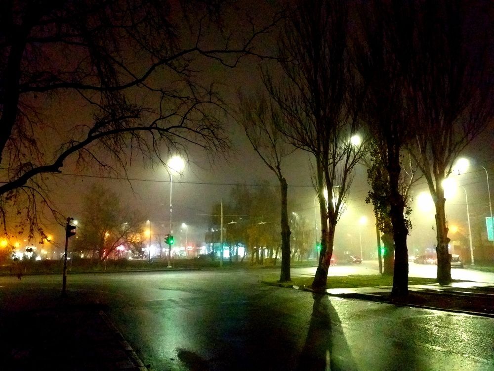 Photo #6799469