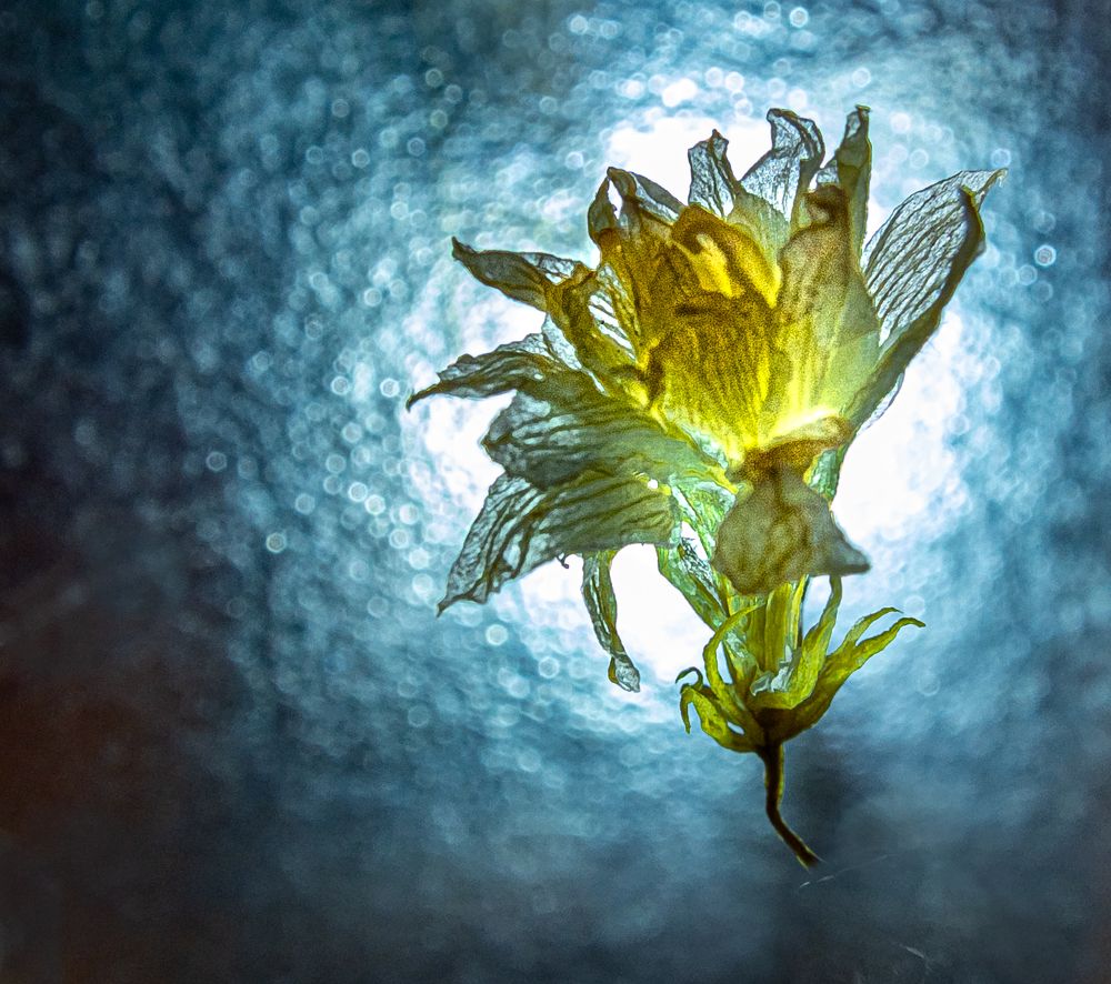 Photograph by Владимир Рябов