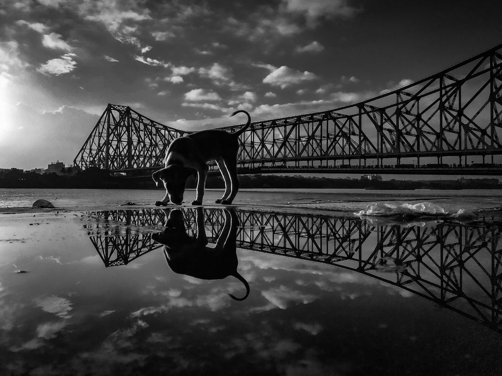 Photograph by Tanay sahoo Sahoo